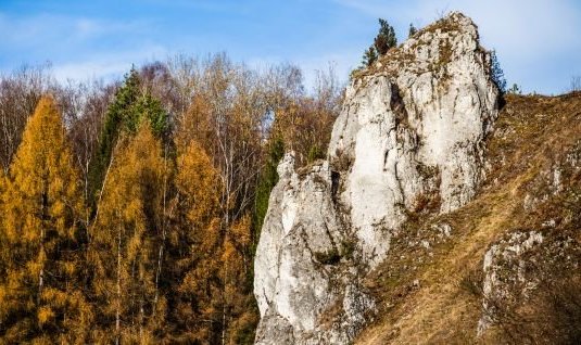 Ojcowski National Park